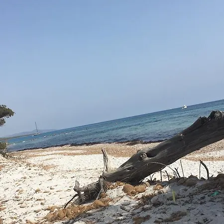 Olive Garden & Petite Maison Posada (Sardinia)