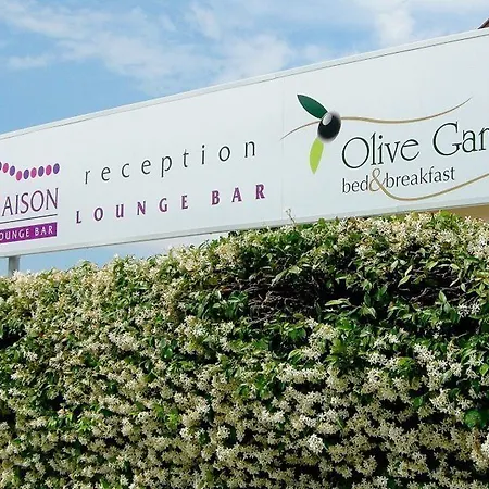Olive Garden & Petite Maison